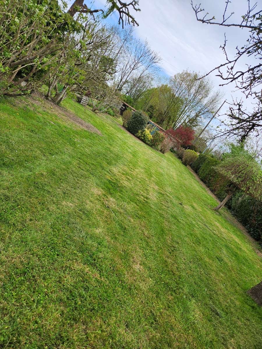 Magnifique jardin verdoyant avec arbres et végétation luxuriante