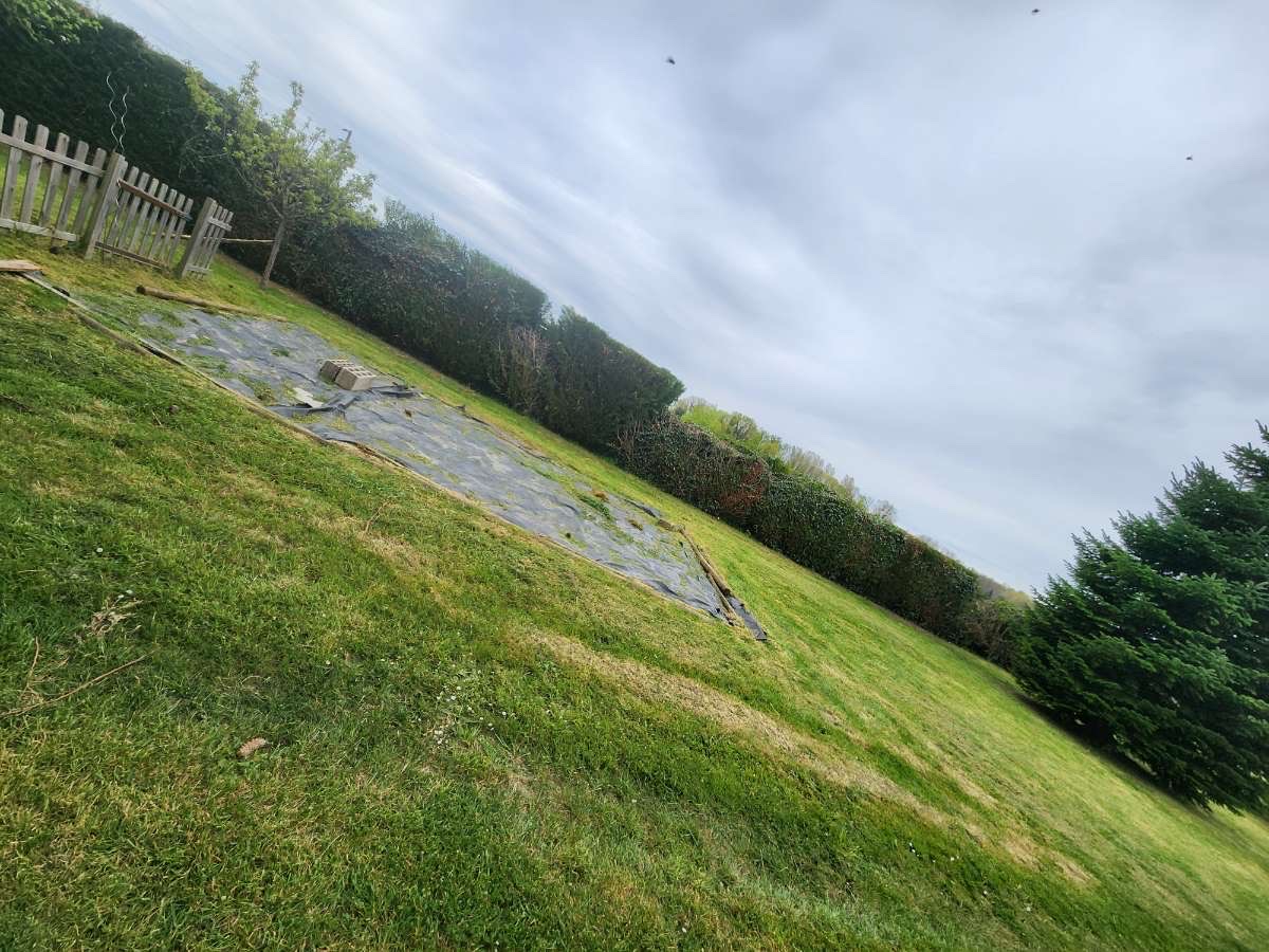 Pelouse entretenue avec bordure de haies dans un jardin résidentiel