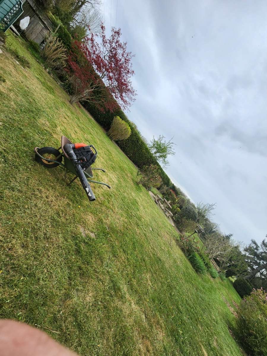 Tonte de pelouse avec tondeuse professionnelle en Essonne