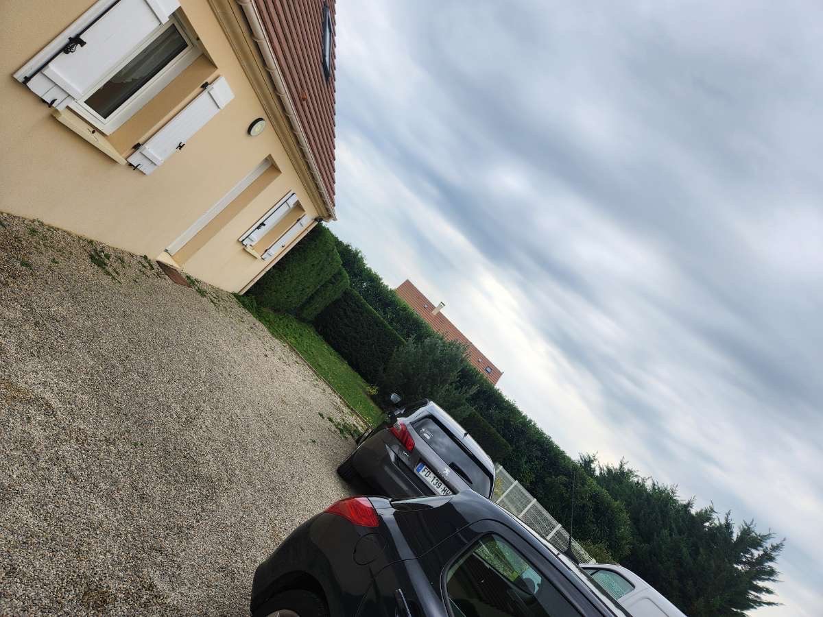 Haie de jardin taillée avec précision par un paysagiste