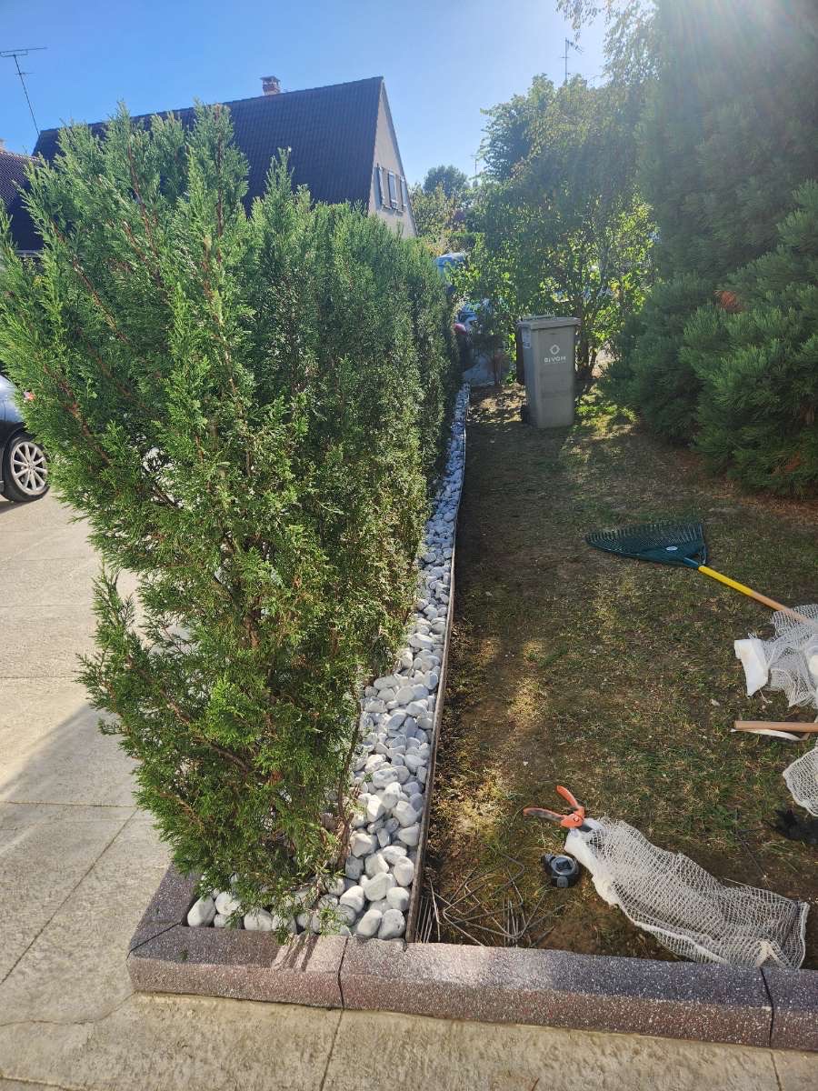 Bordure décorative avec gravier blanc et conifères colonnaires