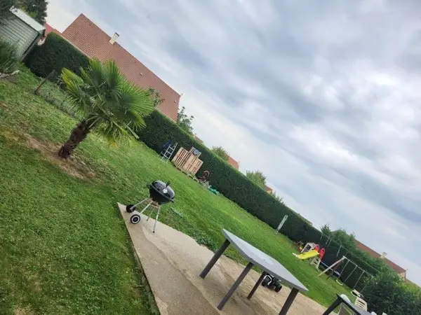 Vue panoramique d'un jardin avec pelouse, haies, palmier et barbecue