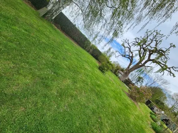 Pelouse fraîchement tondue sur grande surface avec haie taillée