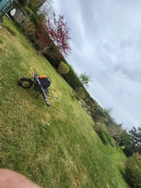 Tonte de pelouse avec tondeuse professionnelle en Essonne